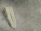 Família J-J60 J460 Dente-Pesado 1386451