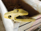 207-939-3120 Ferramenta à terra do dente das peças sobresselentes da máquina escavadora dos acessórios do adaptador da cubeta